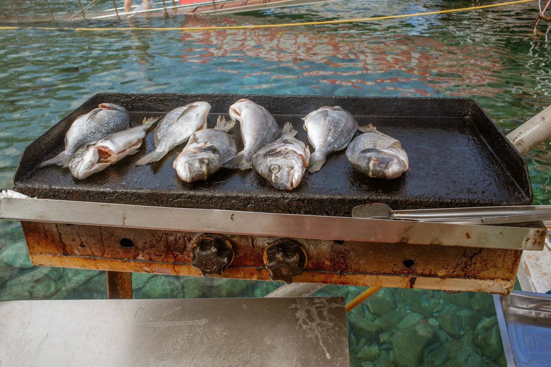 Six poissons entiers grillés sur une plaque métallique en plein air
